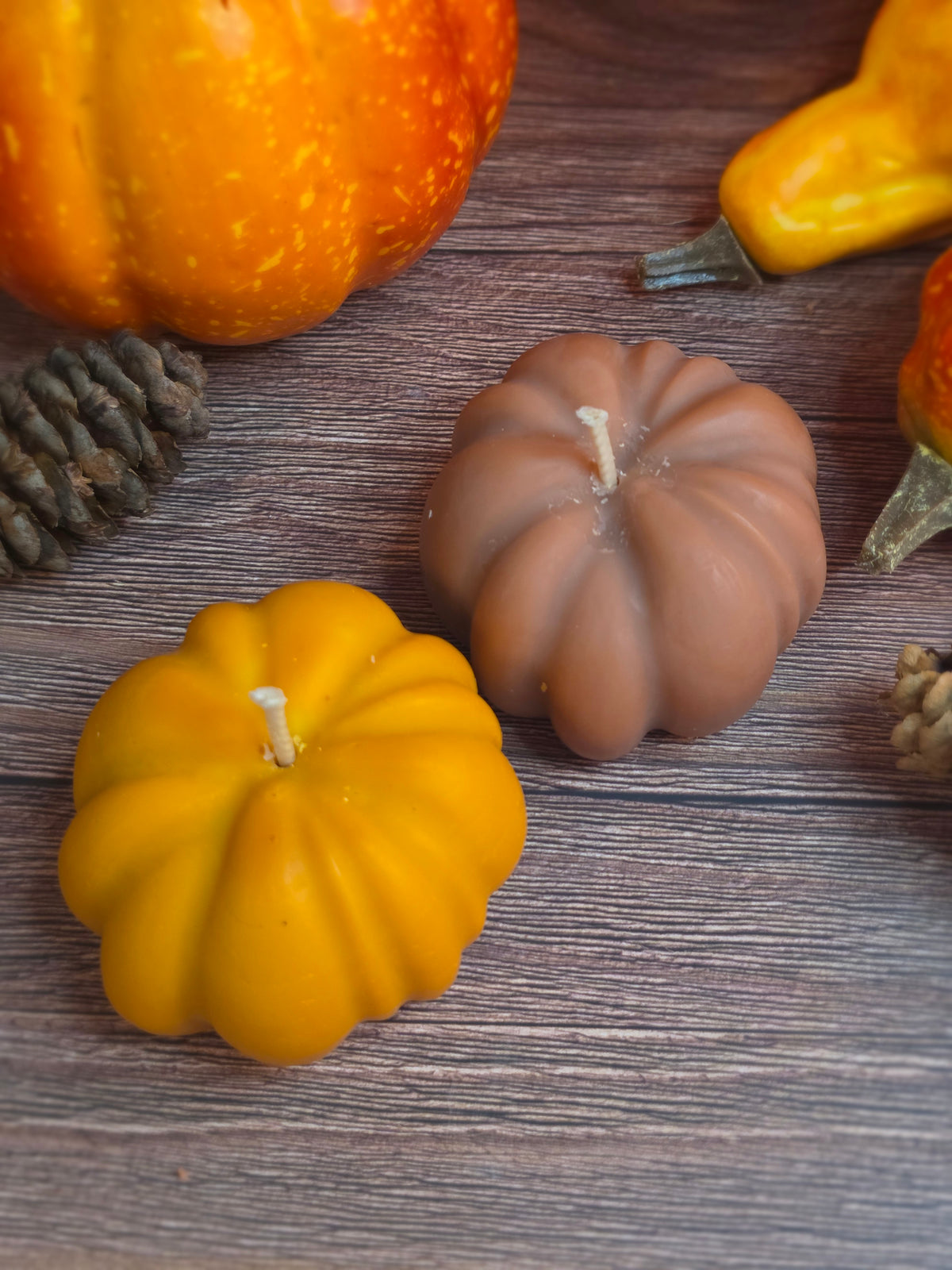 Champ de citrouilles