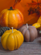 Champ de citrouilles