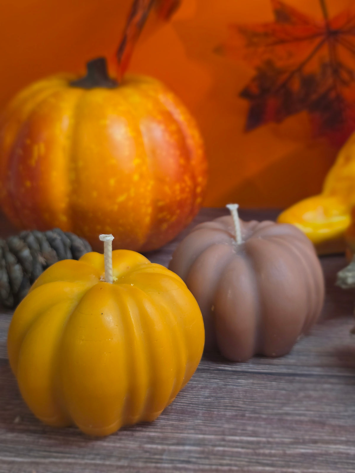 Champ de citrouilles