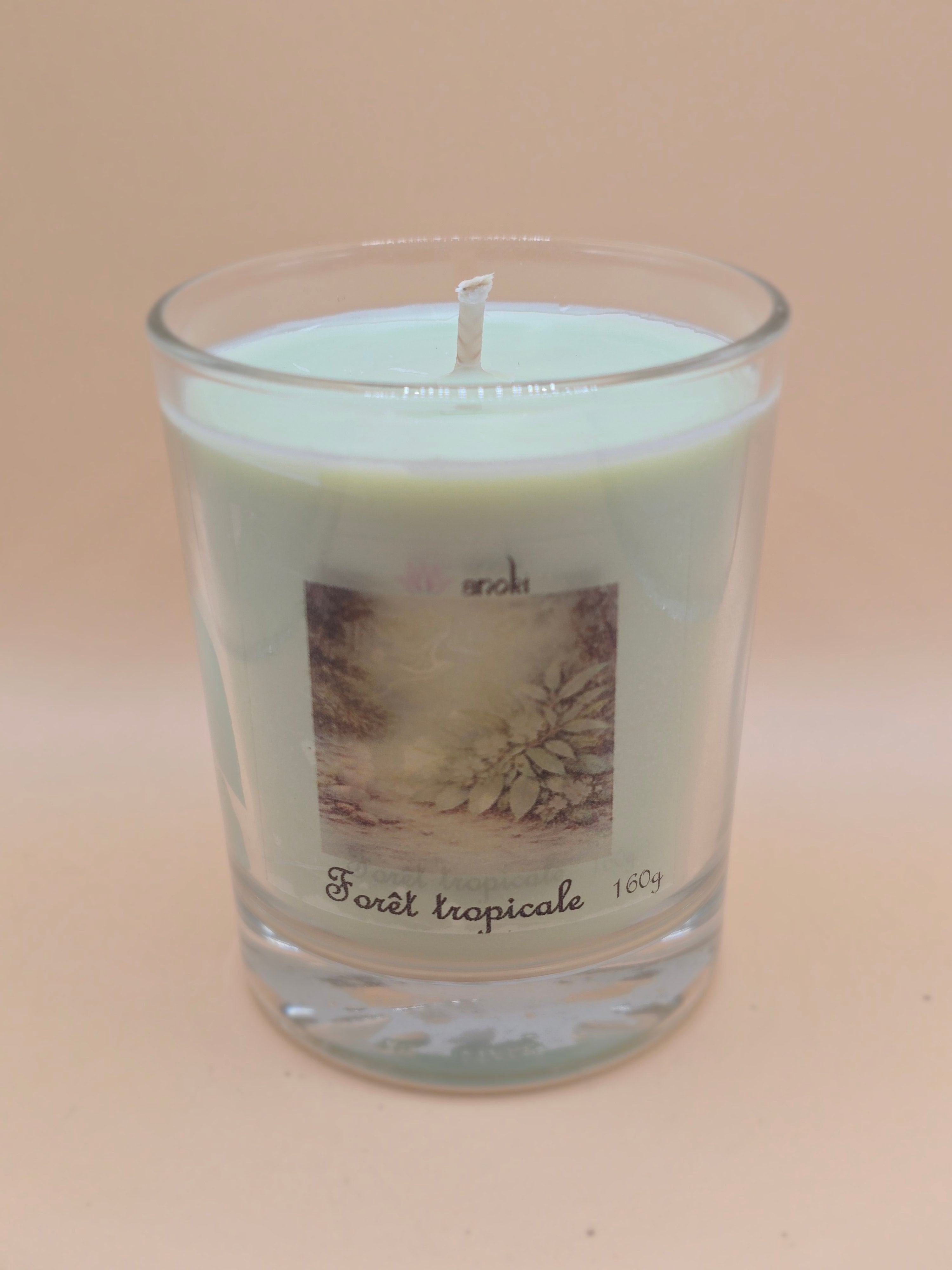 Forêt tropicale